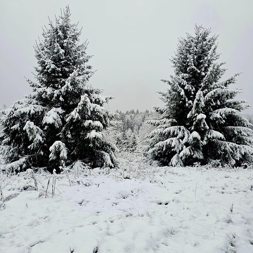 Лагуна Парк. График работы в праздничные дни